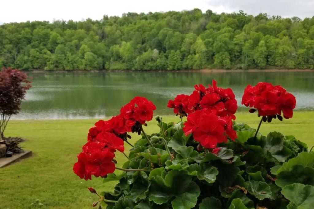 Lakehouse Has Spectacular View Plus Easy Access! Роджерс Екстер'єр фото